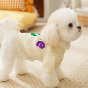 Tricot Pet Apple