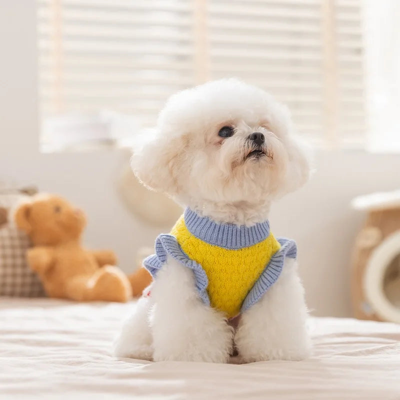 Tricot Pet Classique