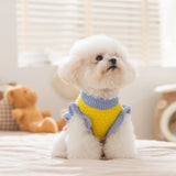 Tricot Pet Classique