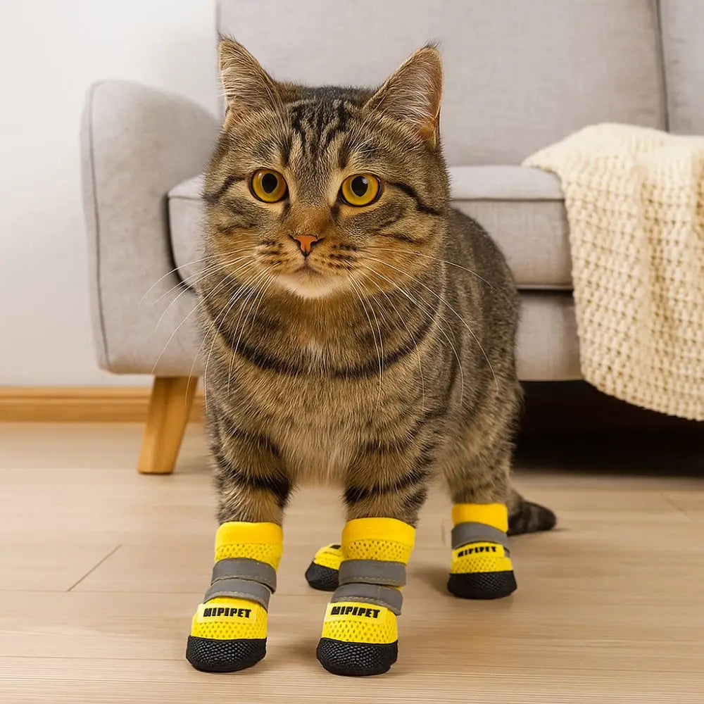 Sapatinho Pet Refletivo & Antiderrapante Cloak