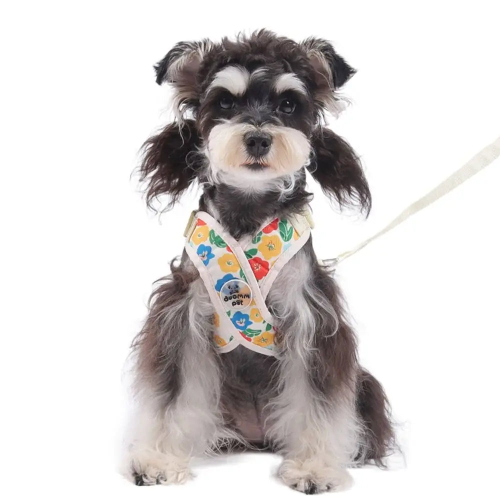 Coleira & Guia Pet Lizz Freshs