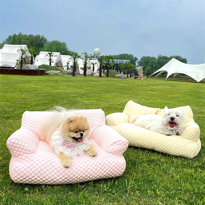 Cama Sofá Maison Pet