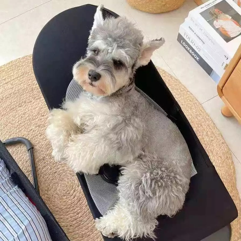 Cadeira de Balanço Relaxpet