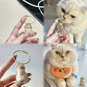 Chaveiro Colecionar Pelos Pet Memories - Gatinhos