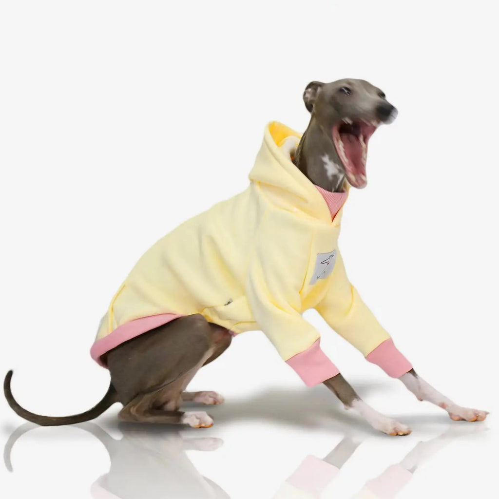 Moletom Whippet Napolitano