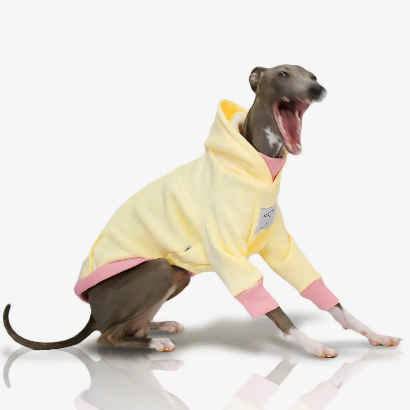 Moletom Whippet Napolitano