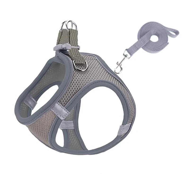 48053931082045|48053931114813|48053931147581|48053931180349|48053931213117|48053931245885