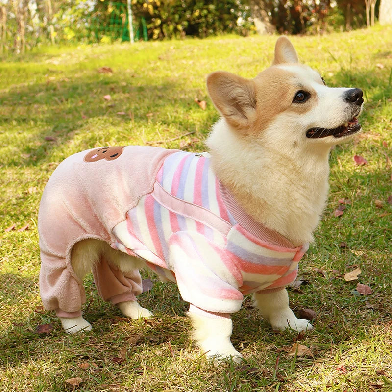 Macacão Pet Ursinho Lili