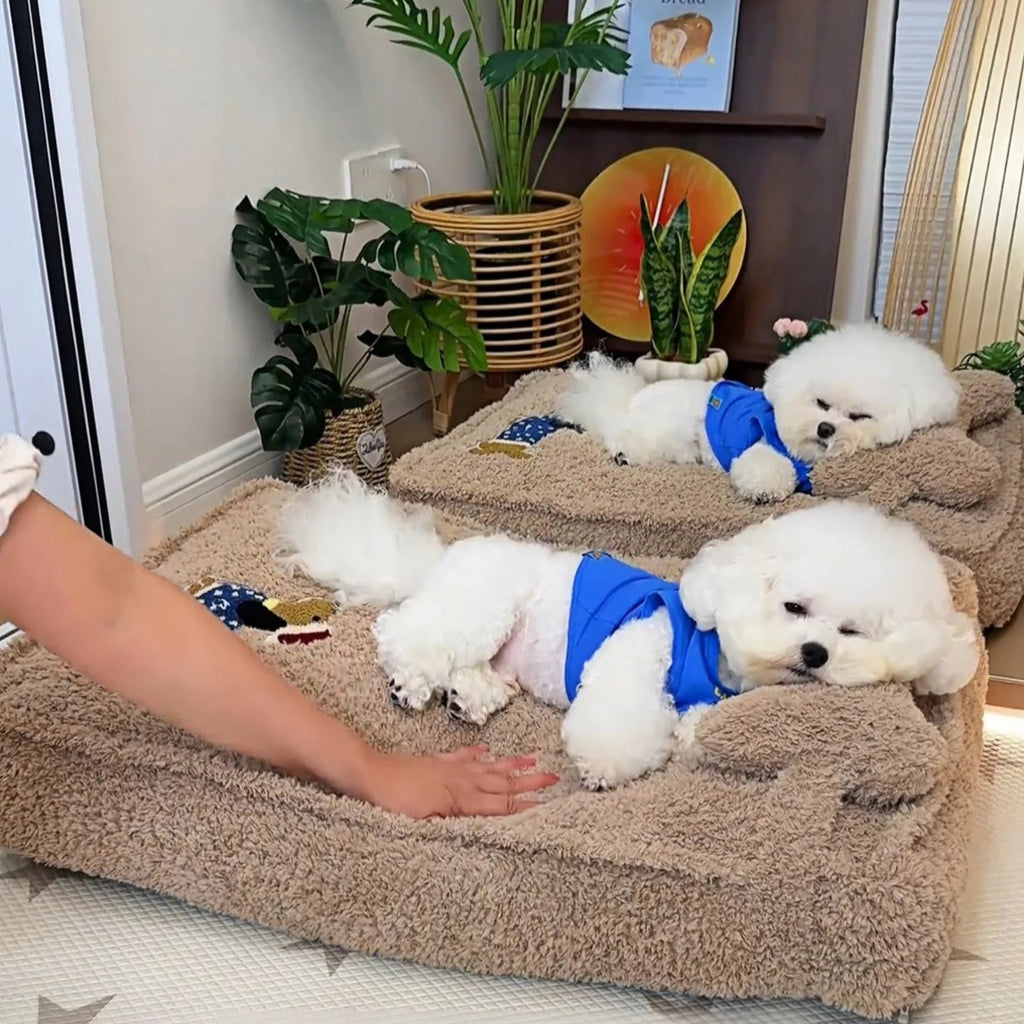 Cama Colchão CushyPet