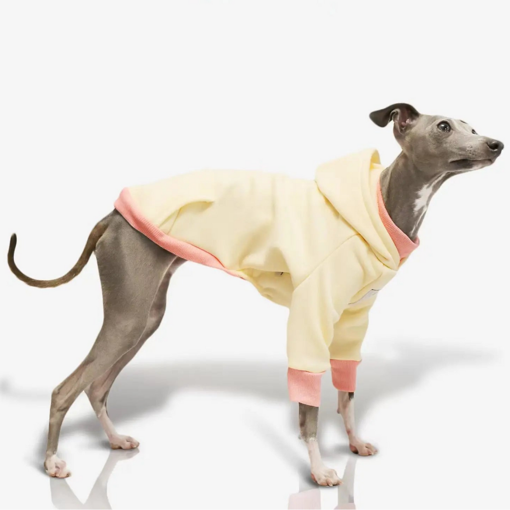 Moletom Whippet Napolitano