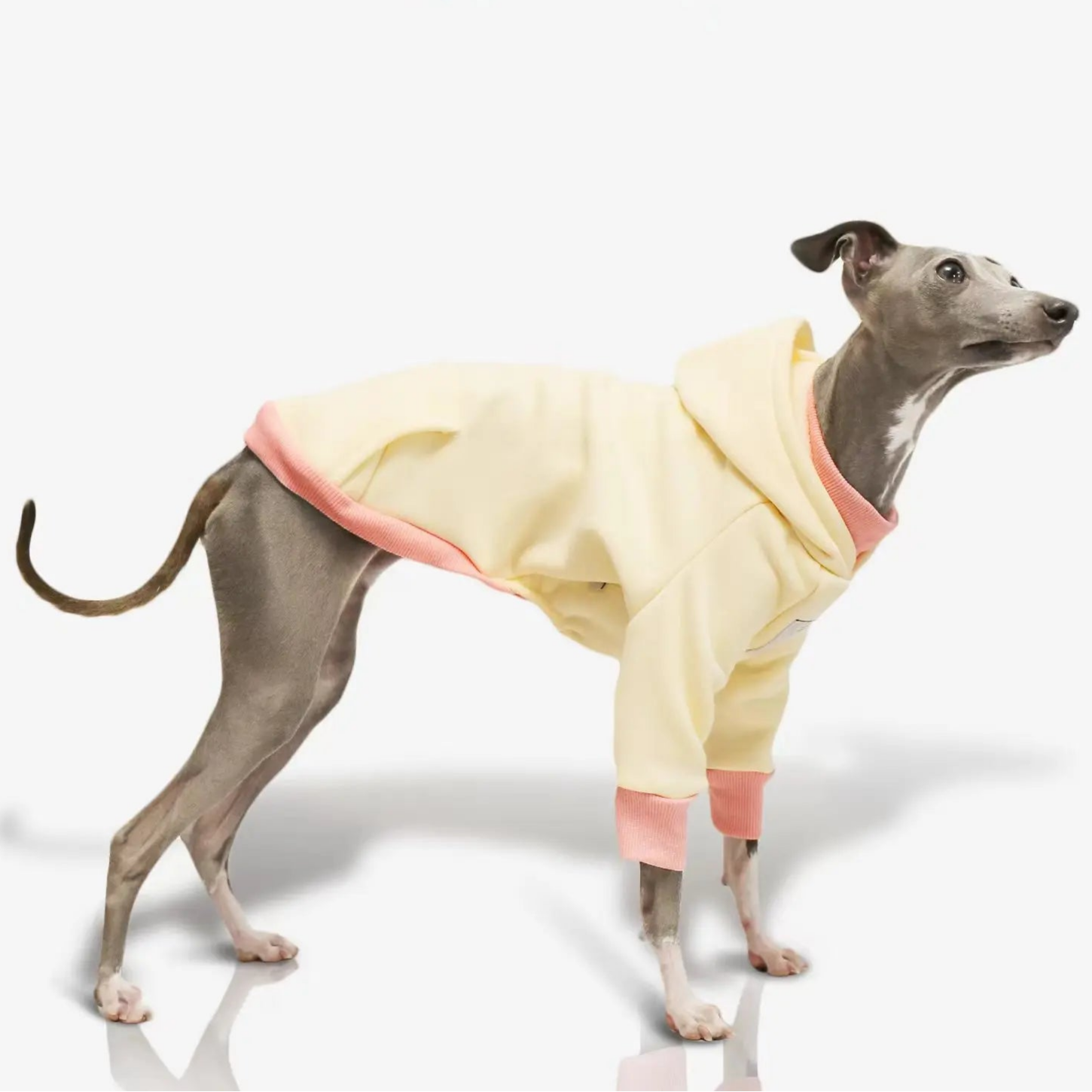 Moletom Whippet Napolitano