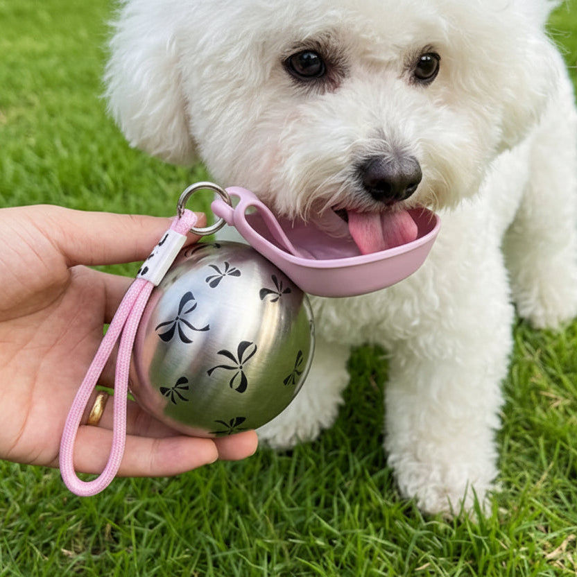 Garrafa Portátil com Tigela Acoplada Bool