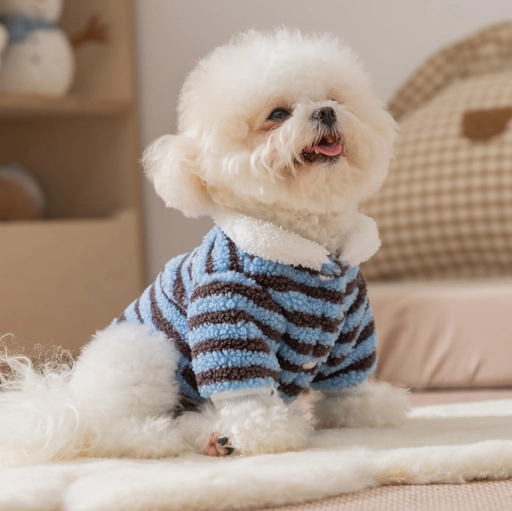 Casaquinho de Lã Pet Londres