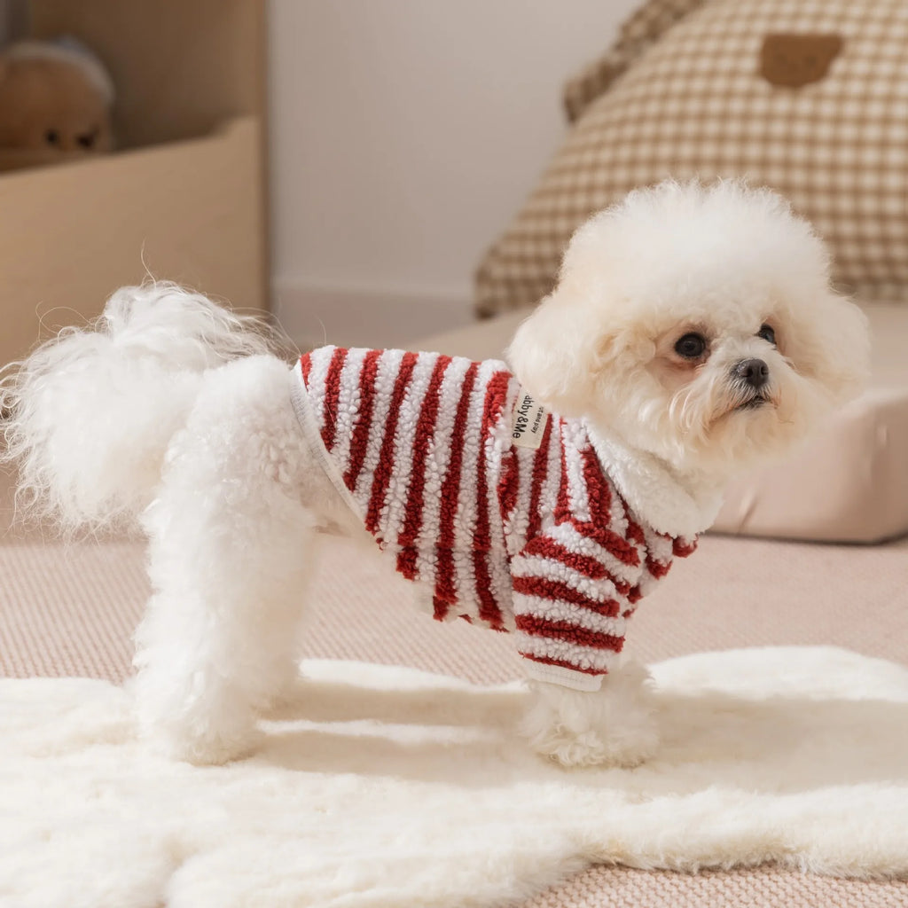 Casaquinho de Lã Pet Londres