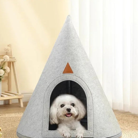 Caminha Pet Monte a Sua Árvore de Natal