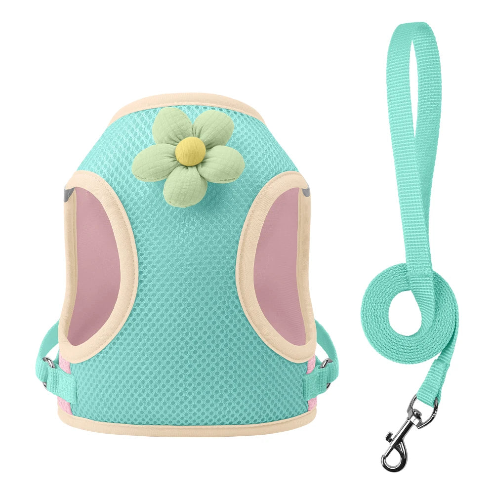 Coleira & Guia Pet Mimus