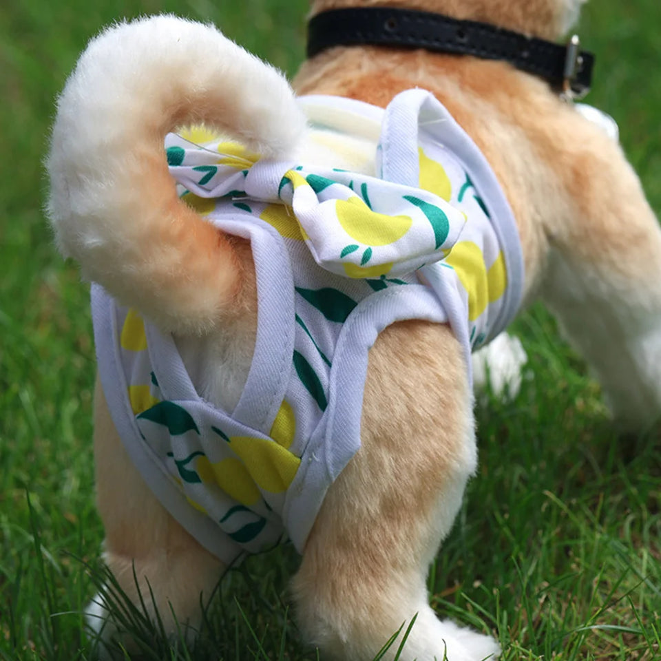 Fraldinha Pet Reutilizável Dog Girl