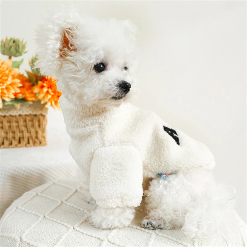 Casaco Pet Letrinhas