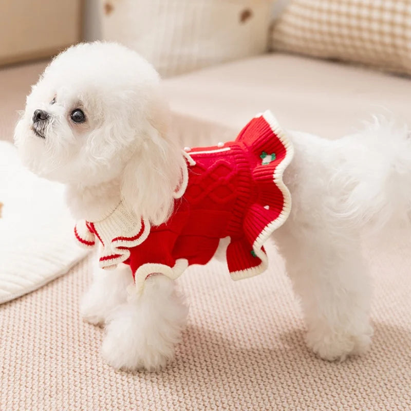 Vestido Pet Encanto