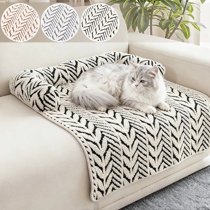 Caminha Pet Sofazinho