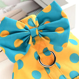 Vestido Coleira & Guia Poá Pet Bonnie