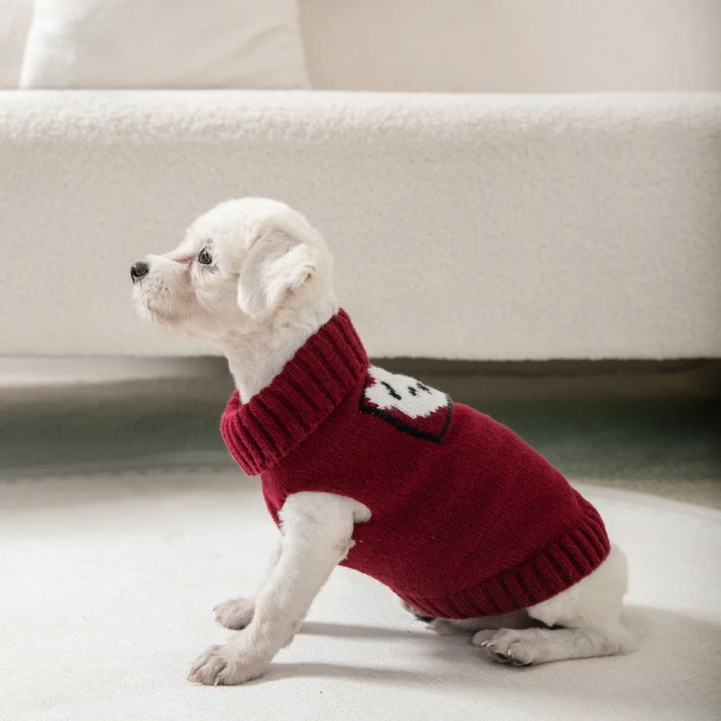 Tricot Pet Lindinho