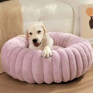 Puff Pet Colmeia