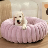 Puff Pet Colmeia