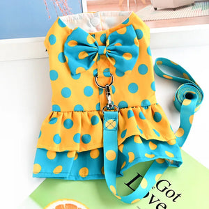 Vestido Coleira & Guia Poá Pet Bonnie