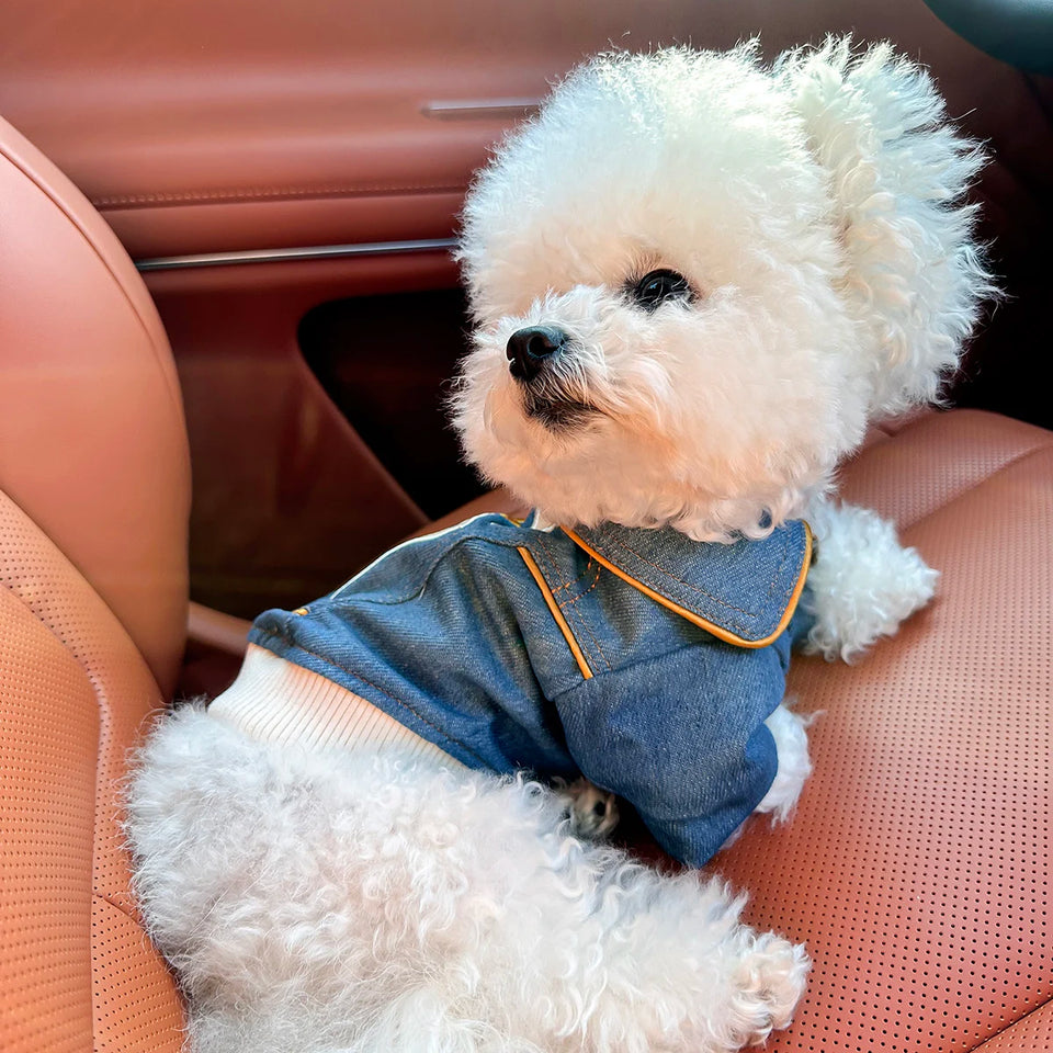 Jaqueta Jeans Pet Rock Star