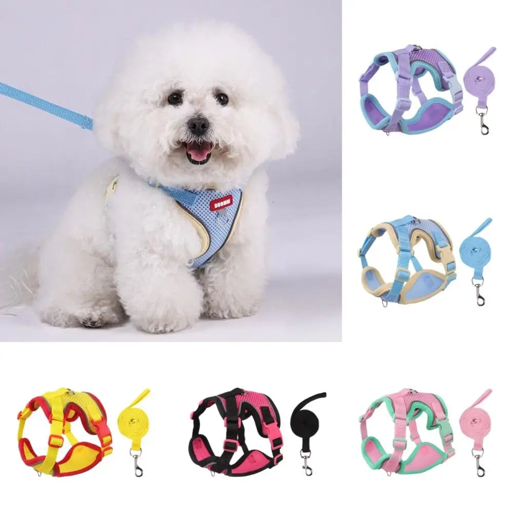 Coleira Pet & Guia Royale