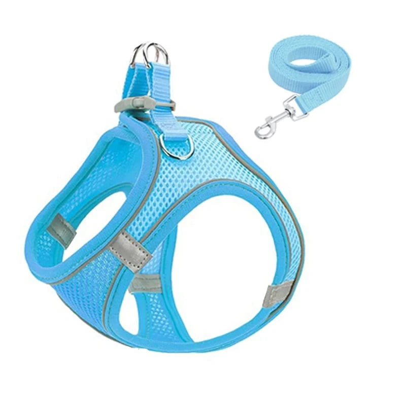 48053932261693|48053932294461|48053932327229|48053932359997|48053932392765|48053932425533