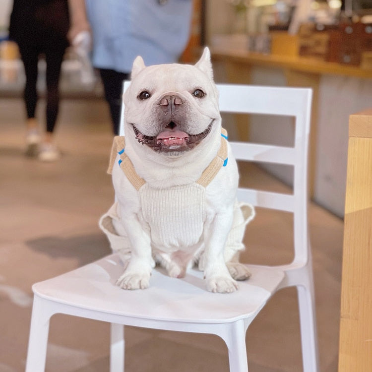 Macacão Pet Sapinho