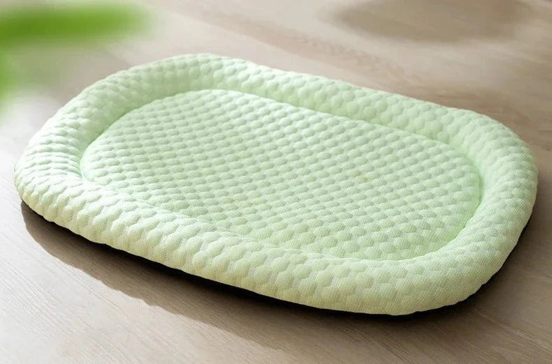 48597974024509|48597974057277|48597974122813