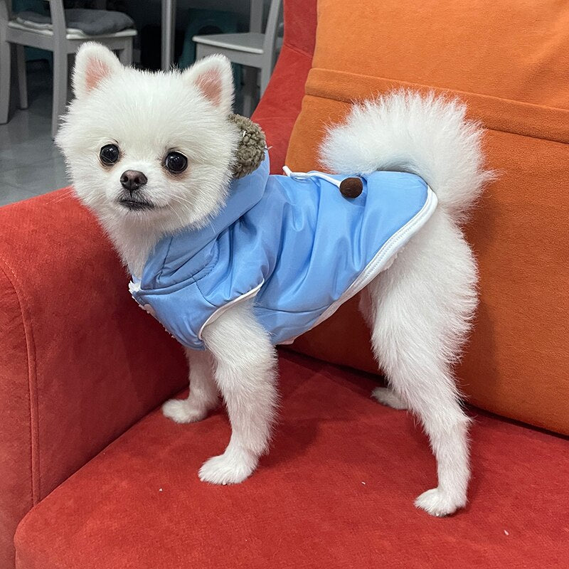Jaqueta Pet Joco