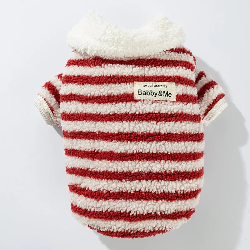 Casaquinho de Lã Pet Londres