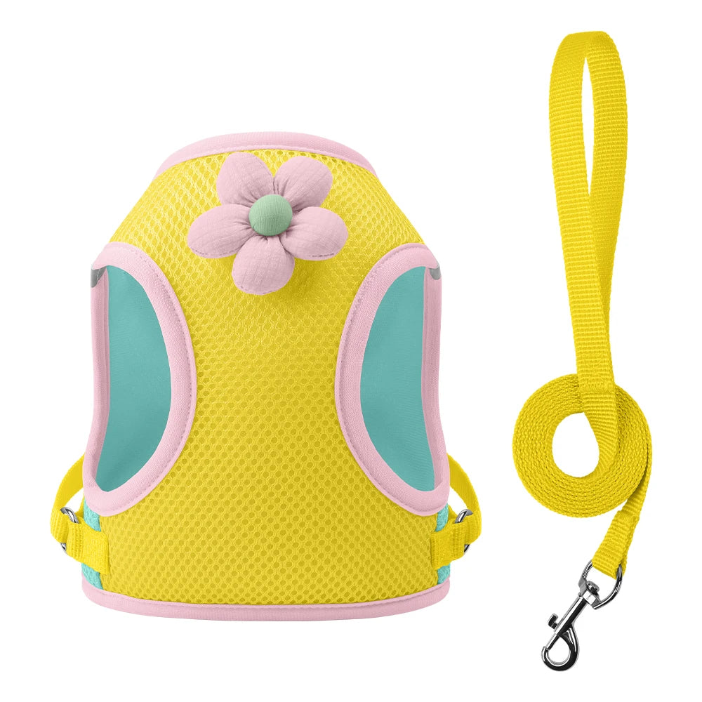 Coleira & Guia Pet Mimus