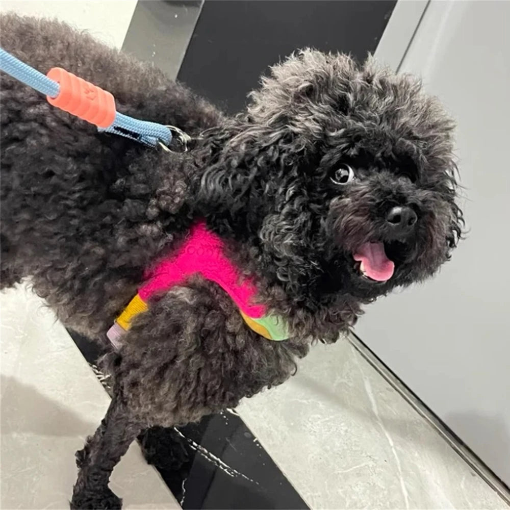 Coleira Pet Anti-puxão Pawslove