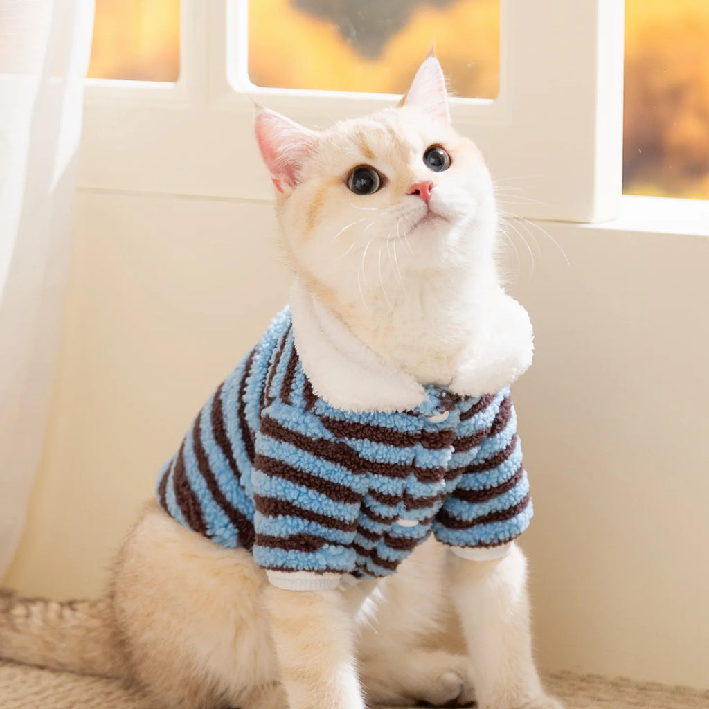 Casaquinho de Lã Pet Londres