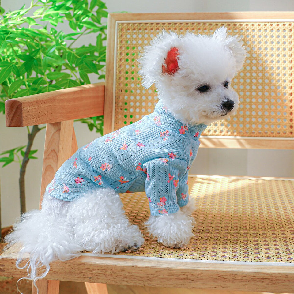 Blusinha Pet Dany