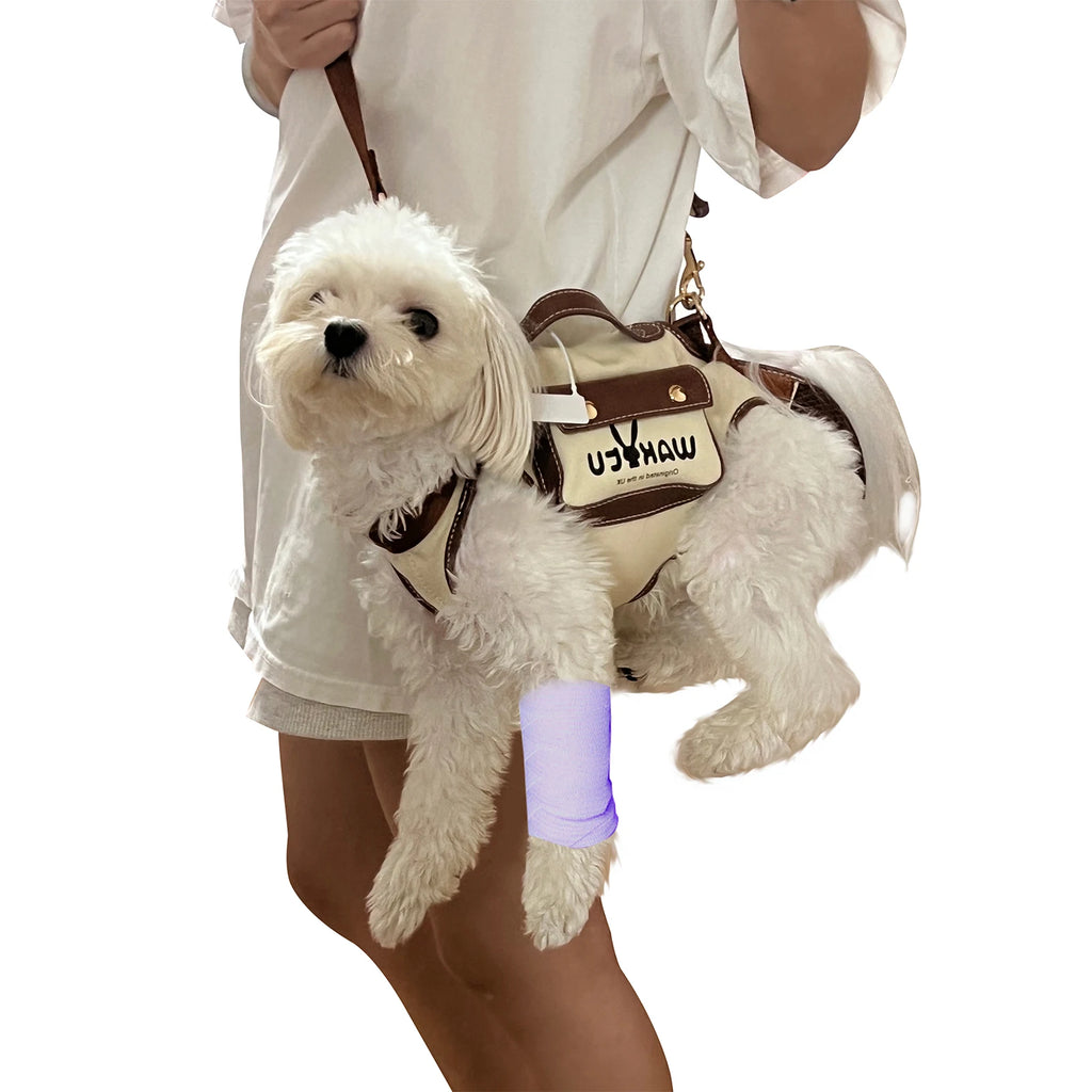 Mochila/Coleira com Elevação Pet Board