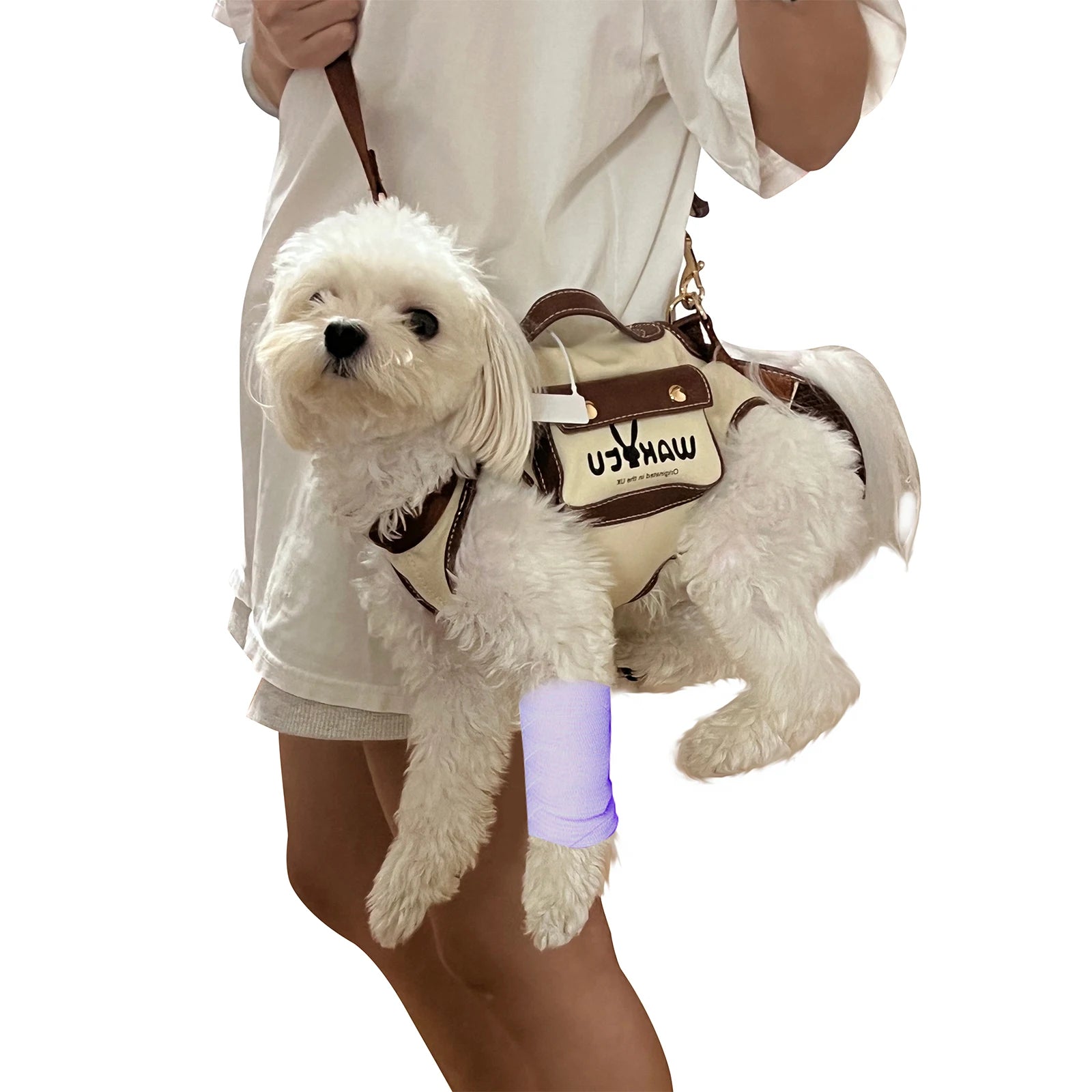 Mochila/Coleira com Elevação Pet Board