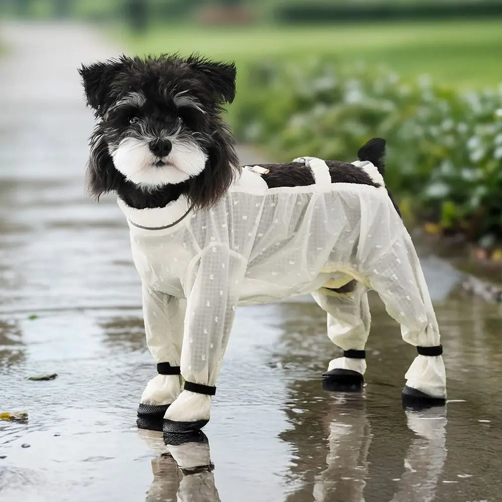 Macacão Pet Impermeável Anti-Sujeira Splash