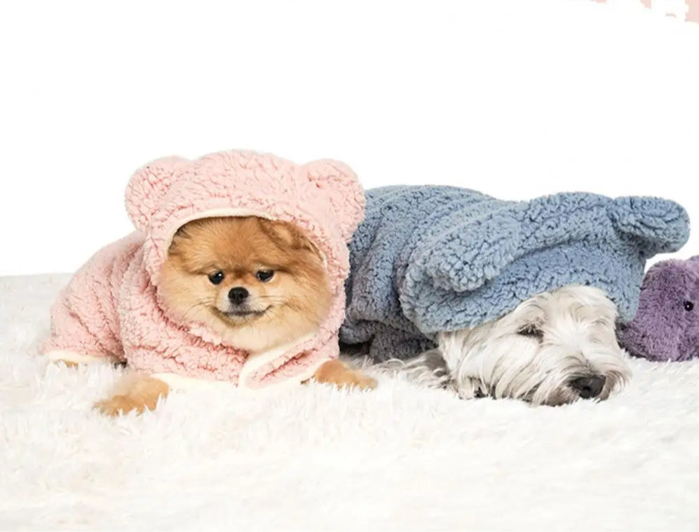 Roupinha Pet Poncho Poquet