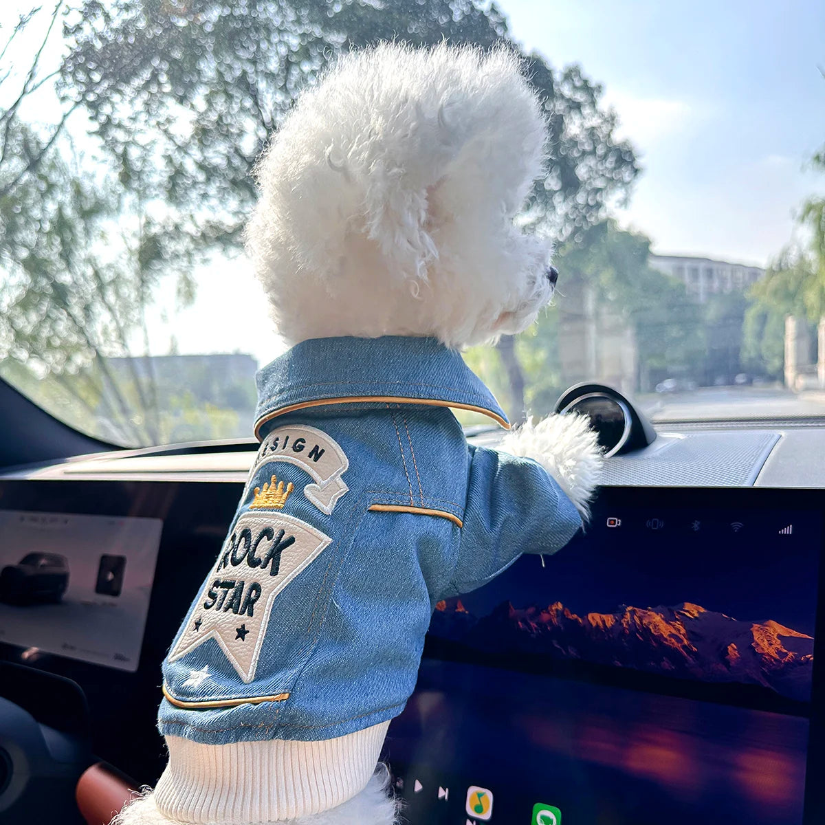 Jaqueta Jeans Pet Rock Star