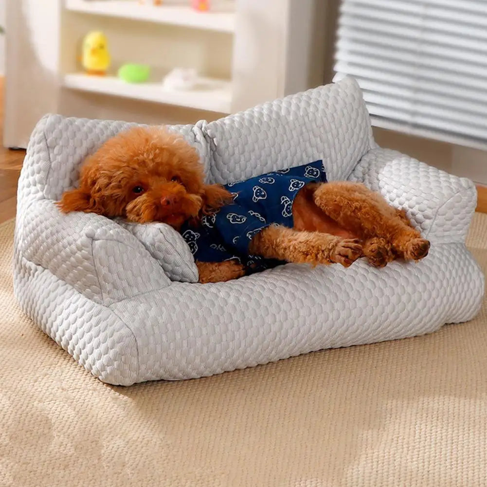 Cama Sofá Maison Pet