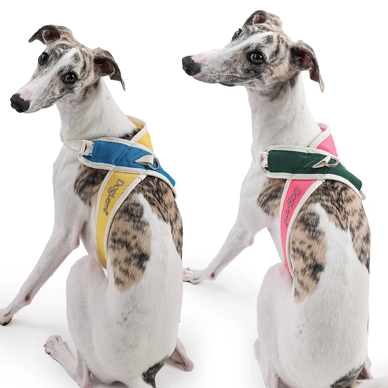 Coleira Pet Anti-puxão Acolchoada PetStyle