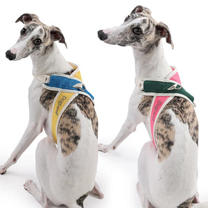 Coleira Pet Anti-puxão Acolchoada PetStyle