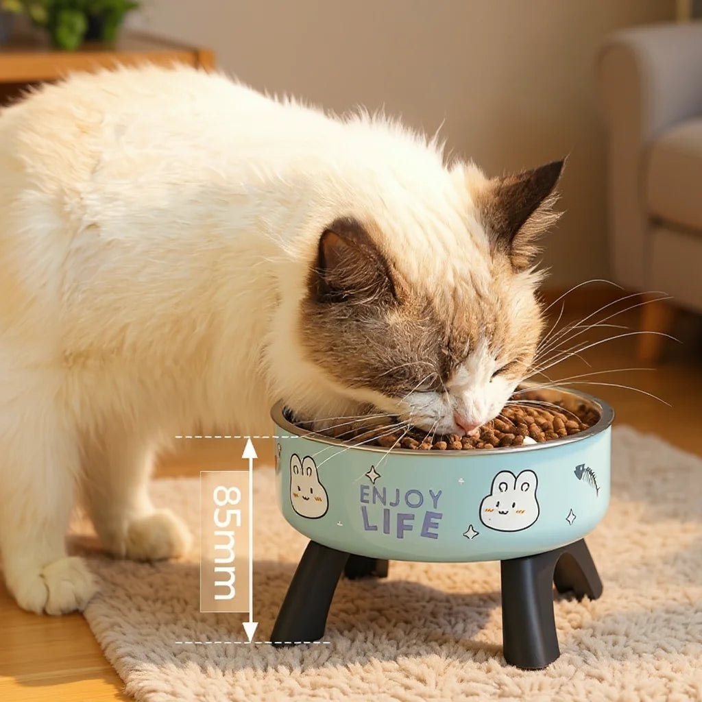 Tigela Elevada Pet Enjoy Life