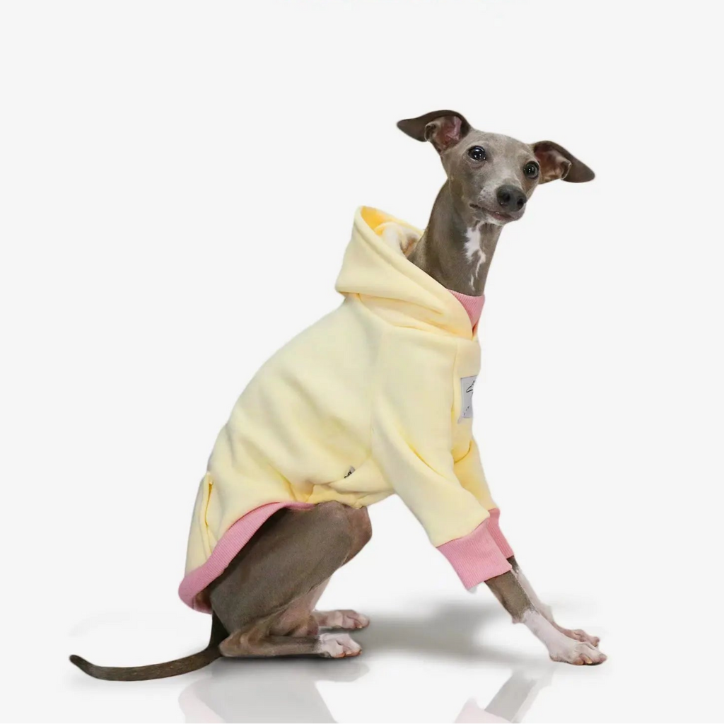 Moletom Whippet Napolitano